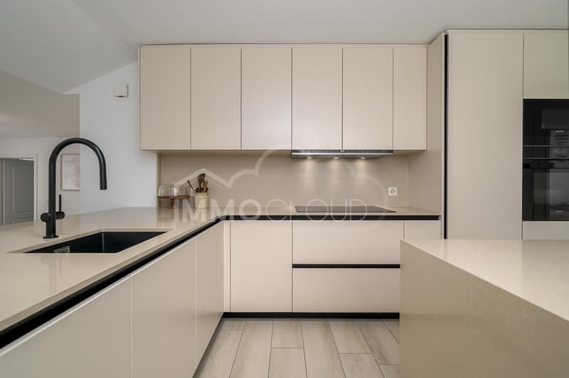 Duplex avec terrasse (3)