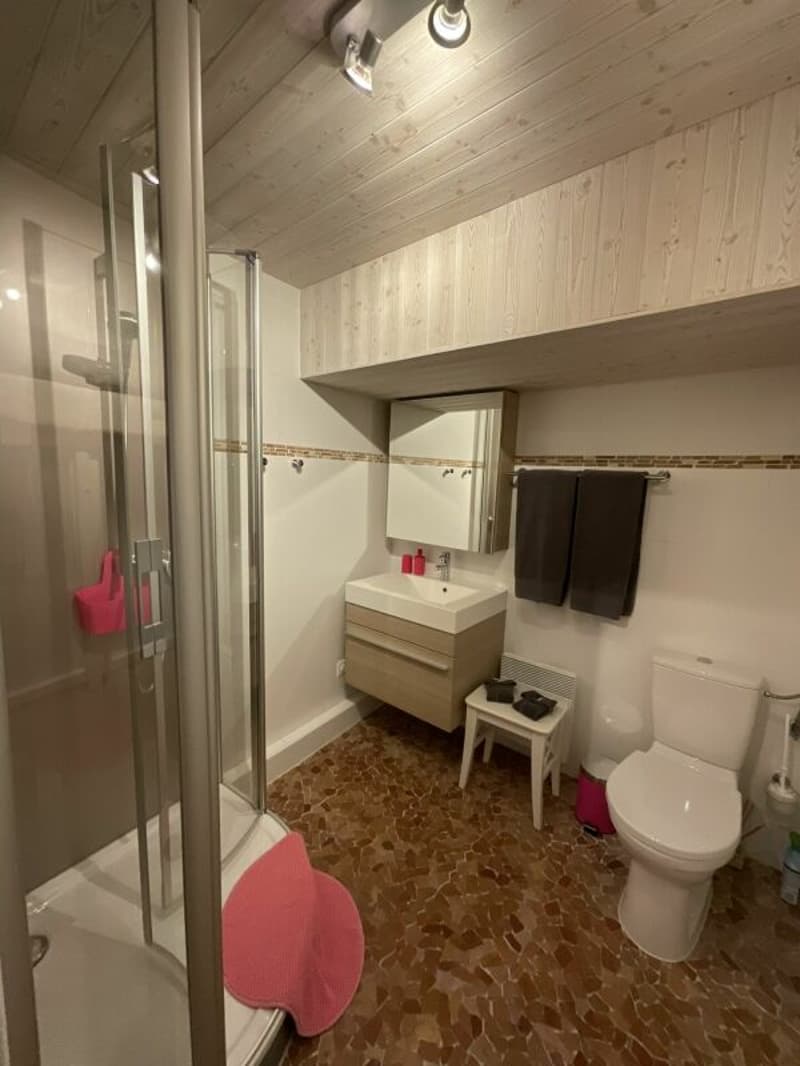 In vendita nel cuore della città medievale di Saillon, casa di villaggio (16)