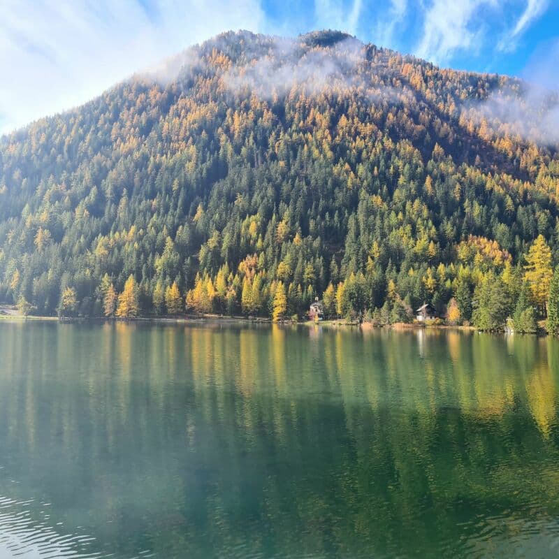 Superbo appartamento di 3.5 locali a Champex-Lac (3)