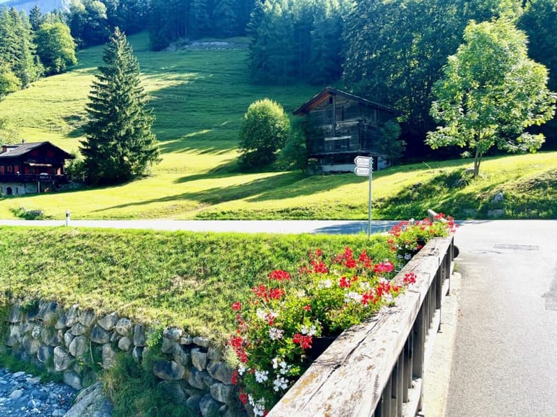 Building plot in the municipality of Orsières (2)