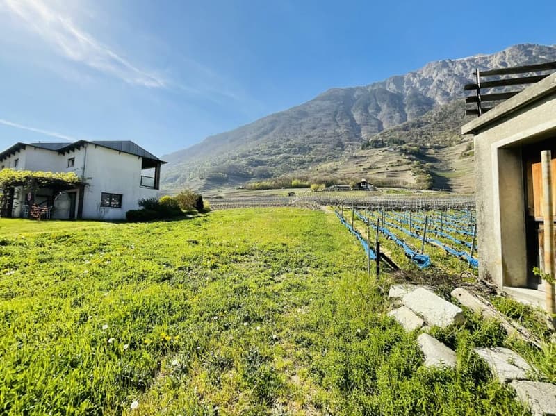Beautiful villa in the commune of Fully (4)