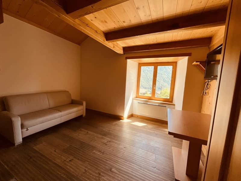 Apartment and land for sale in the village of Vollèges (8)