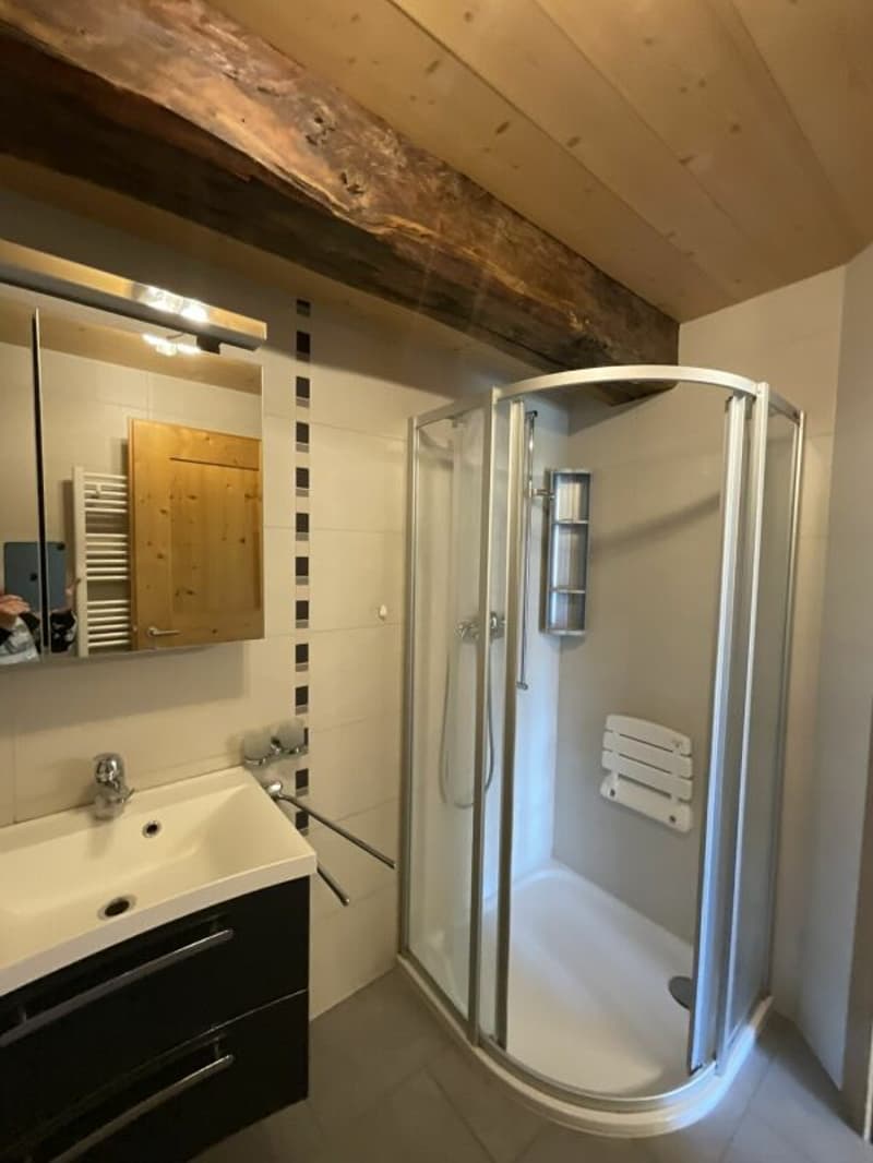 Apartment and land for sale in the village of Vollèges (19)
