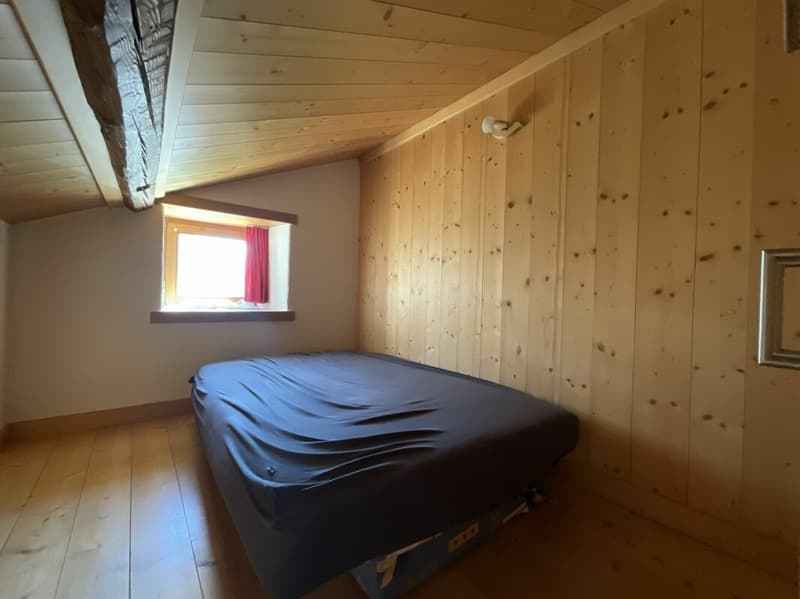Apartment and land for sale in the village of Vollèges (13)
