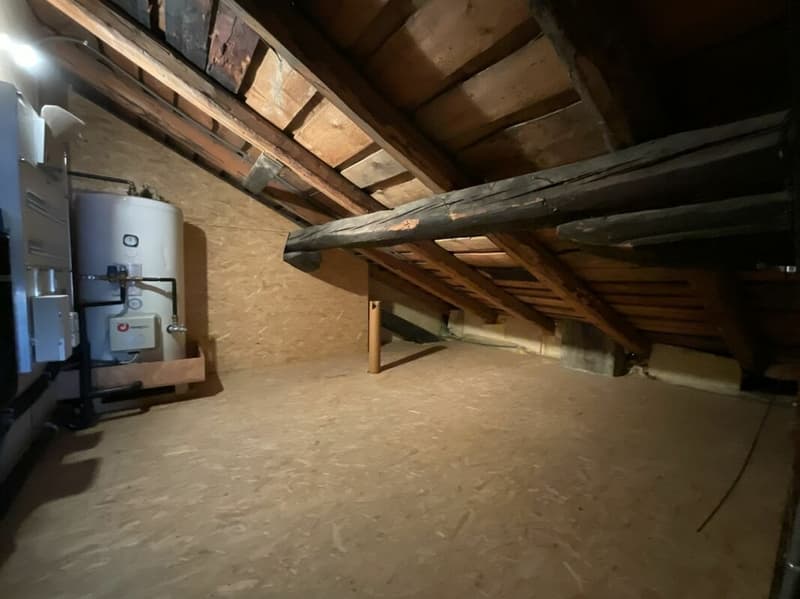 Apartment and land for sale in the village of Vollèges (20)
