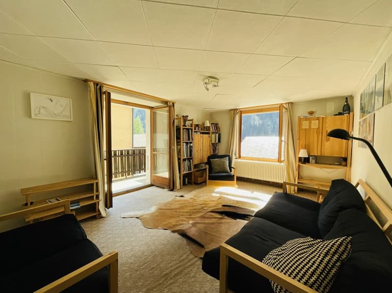 Village house with two separate apartments (11)
