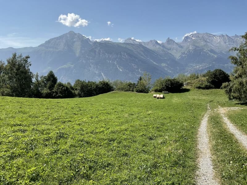 Chalet alpin avec vue panoramique au coeur des 4 Vallées copie (5)