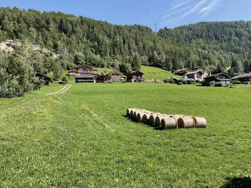 Chalet alpin avec vue panoramique au coeur des 4 Vallées copie (6)