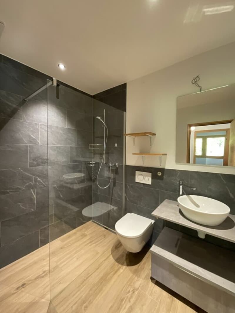 Appartement de 5.5 pièces dans le Bourg Médiéval de Saillon (20)