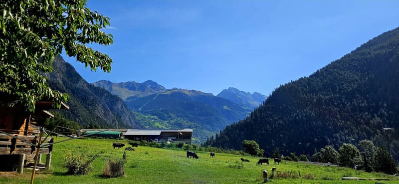 Villa mitoyenne de 3.5 pièces sur la Commune du Val de Bagnes (9)