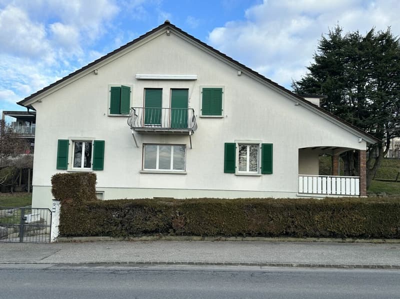 Individual villa - two apartments (2)