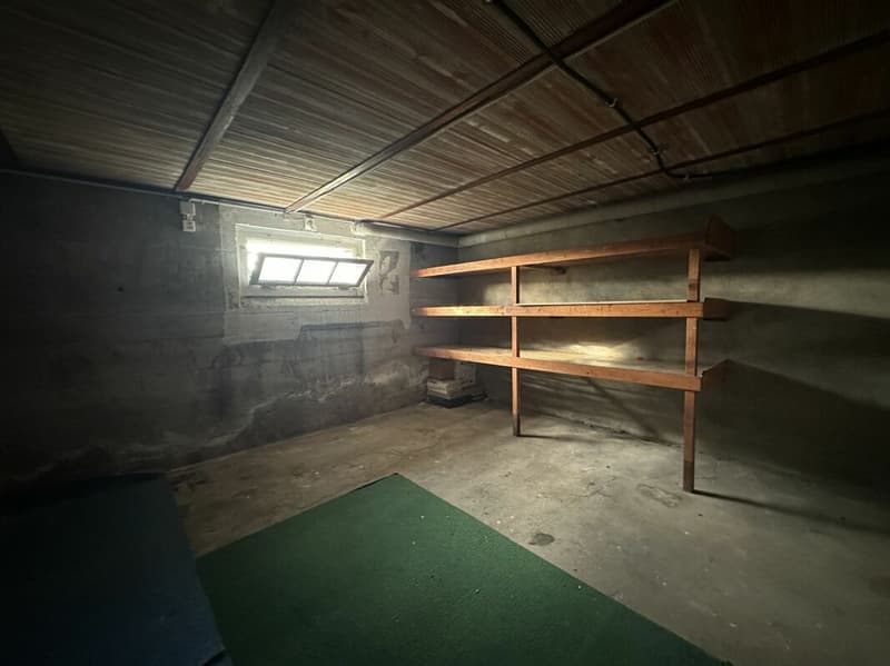 Individual villa - two apartments (18)