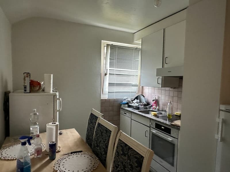 Individual villa - two apartments (14)