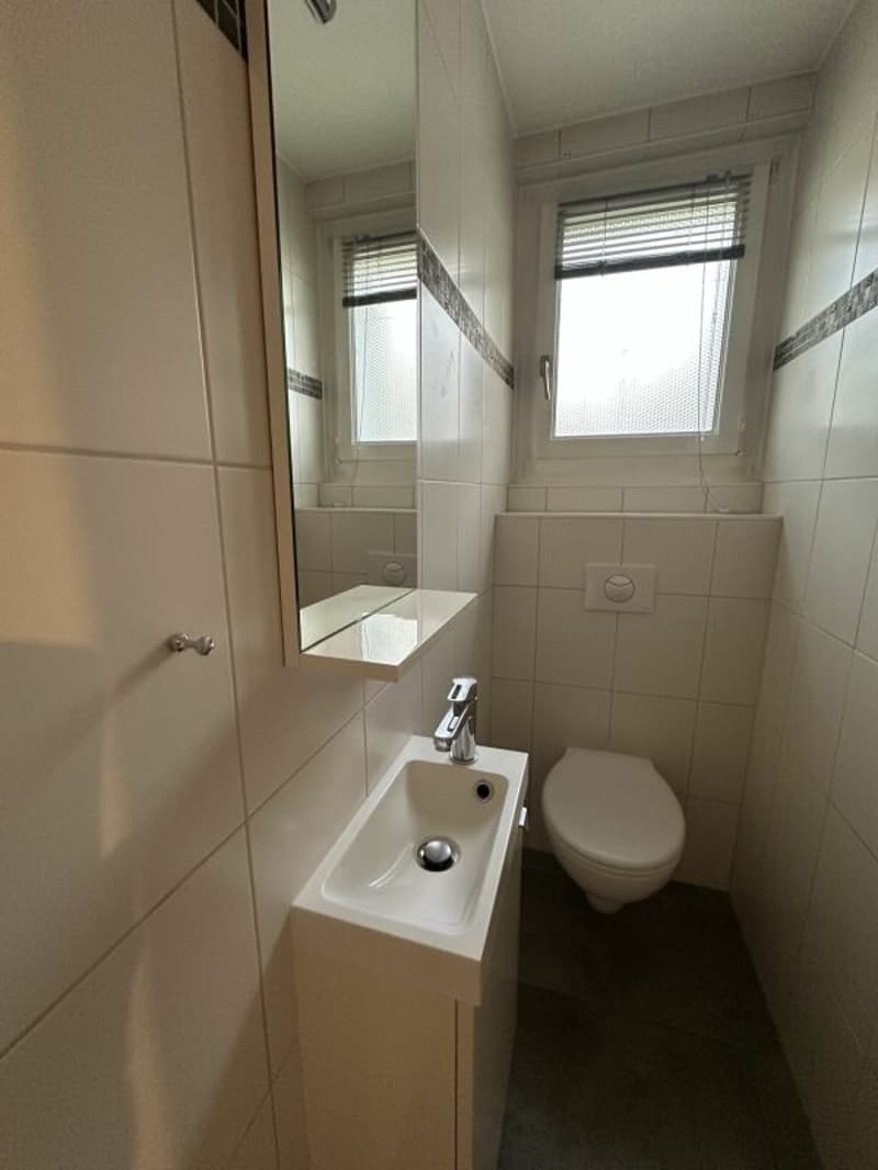 Individual villa - two apartments (13)