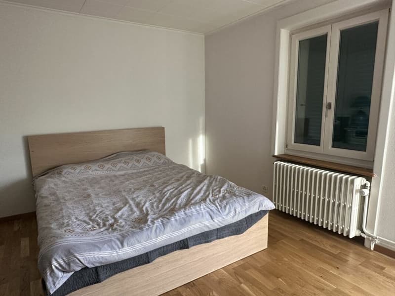 Individual villa - two apartments (15)