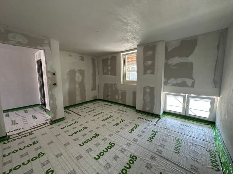 APPARTEMENT DUPLEX DE 5.5 PIECES (7)
