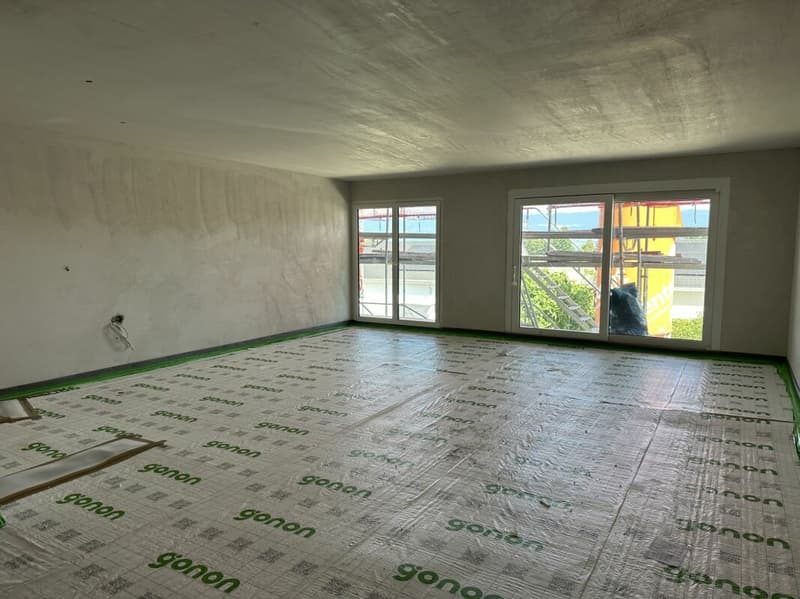APPARTEMENT DUPLEX DE 5.5 PIECES (6)