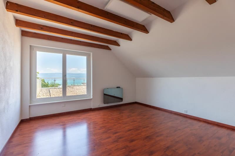 A dream view - spacious family villa facing Lake Neuchâtel (8)