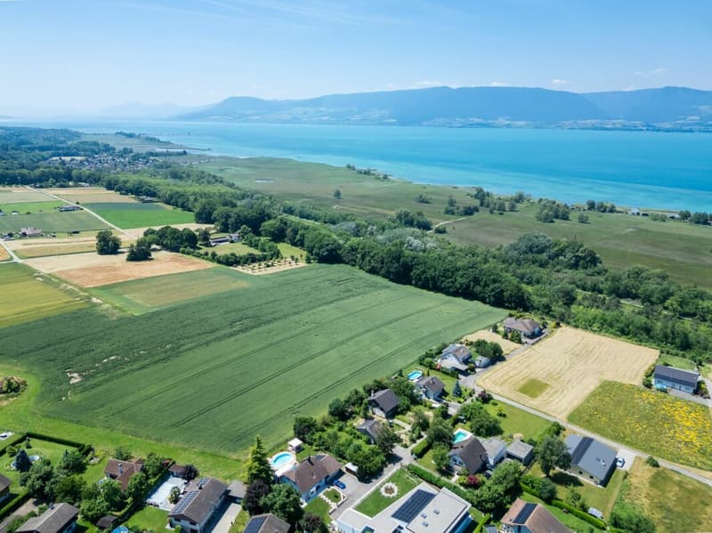 A dream view - spacious family villa facing Lake Neuchâtel (7)