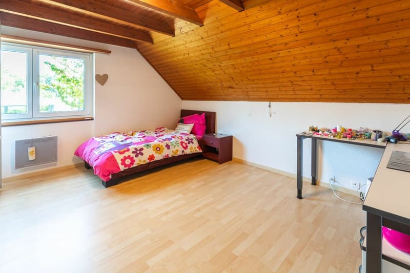 A dream view - spacious family villa facing Lake Neuchâtel (9)