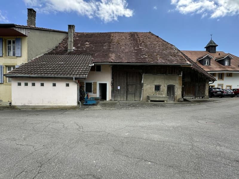 Village House to Transform/Renovate (1)