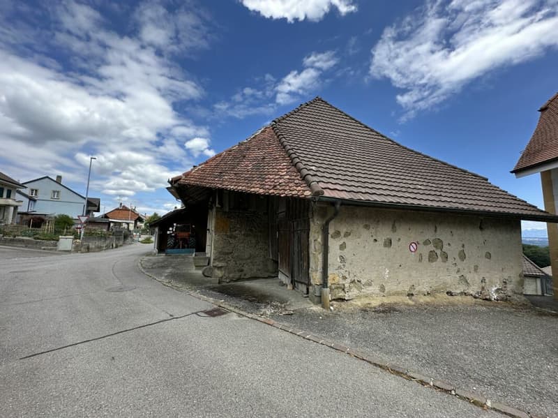 Village House to Transform/Renovate (2)