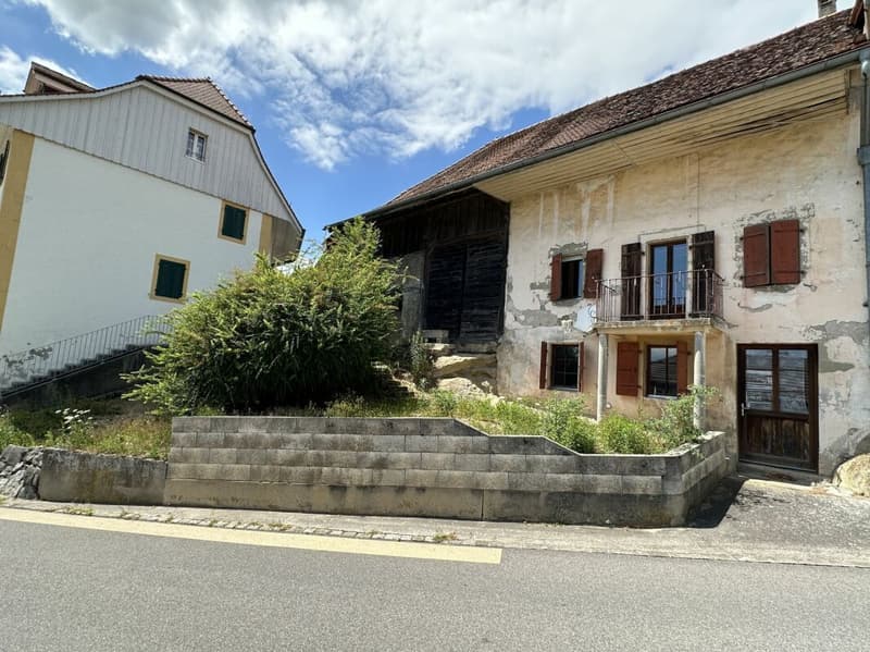 Village House to Transform/Renovate (3)