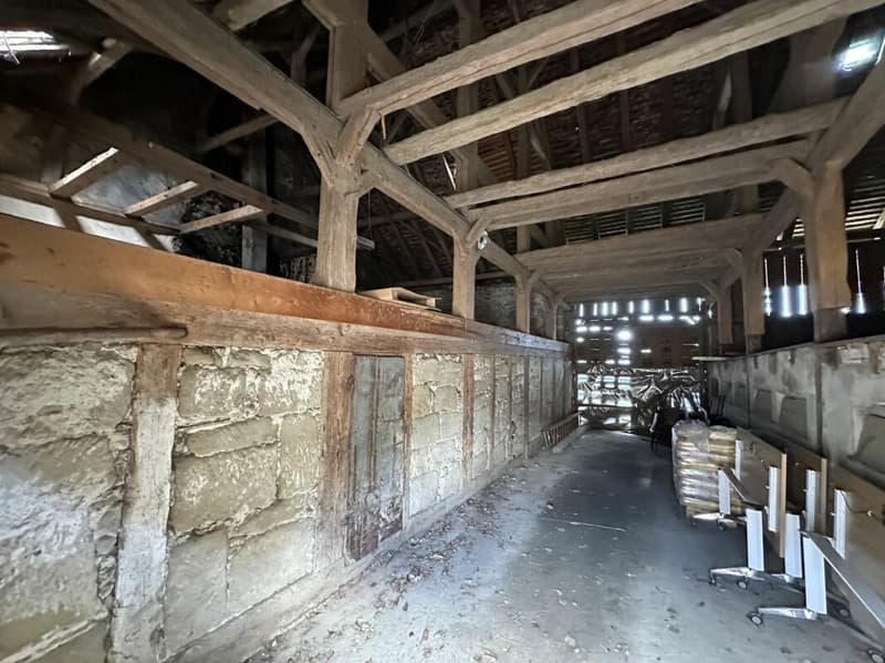 Village House to Transform/Renovate (13)