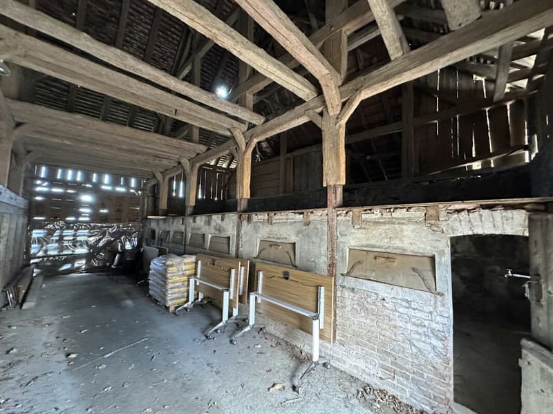 Village House to Transform/Renovate (12)