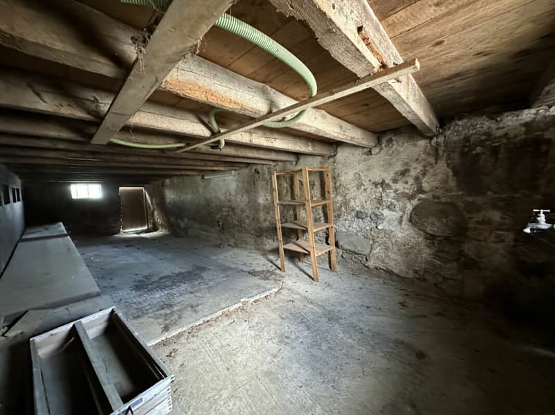 Village House to Transform/Renovate (14)