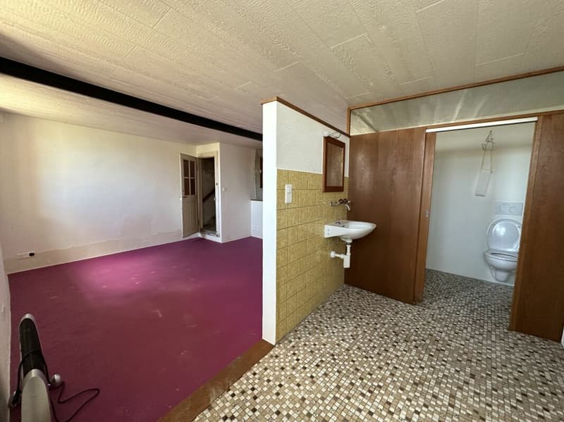 Village House to Transform/Renovate (11)