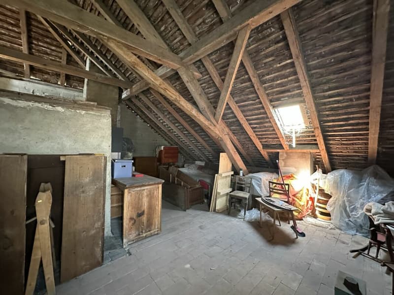 Maison à rénover/transformer - Renovationsbedürftiges Haus zu verkaufen (19)