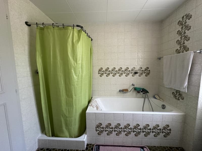 Maison à rénover/transformer - Renovationsbedürftiges Haus zu verkaufen (10)