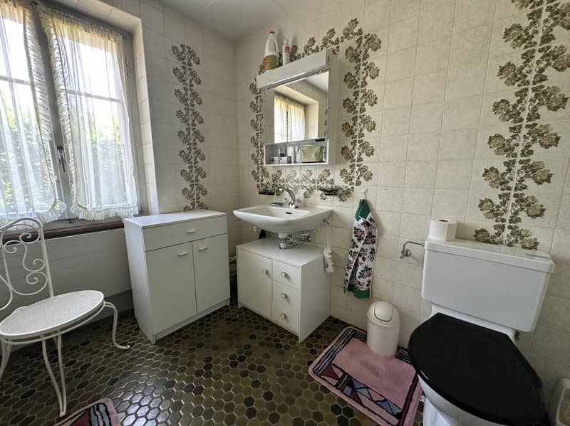 Maison à rénover/transformer - Renovationsbedürftiges Haus zu verkaufen (11)