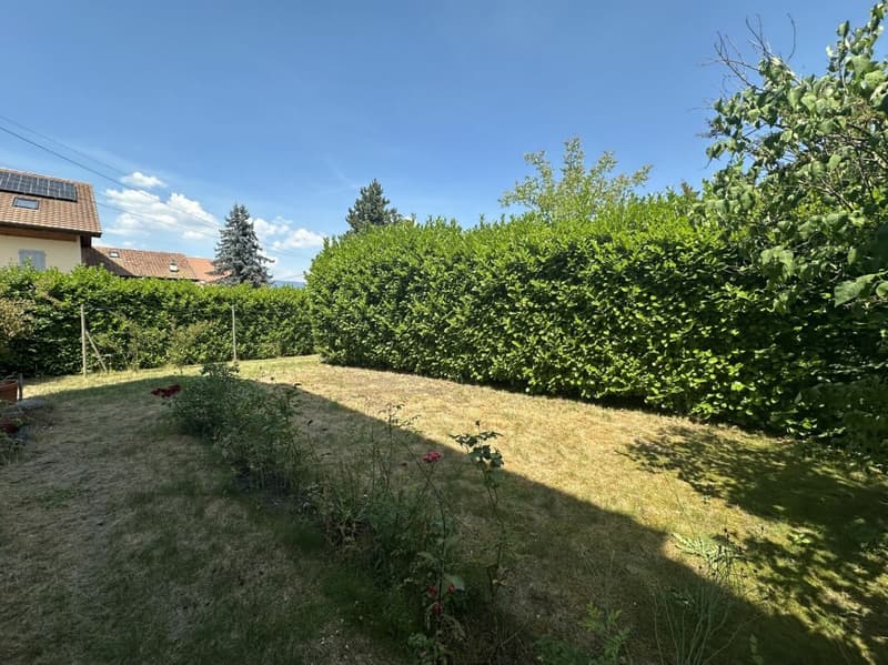 Maison à rénover/transformer - Renovationsbedürftiges Haus zu verkaufen (20)