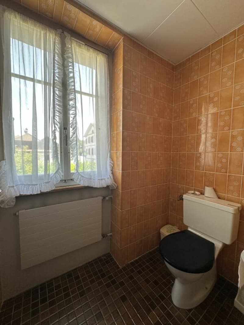Maison à rénover/transformer - Renovationsbedürftiges Haus zu verkaufen (17)
