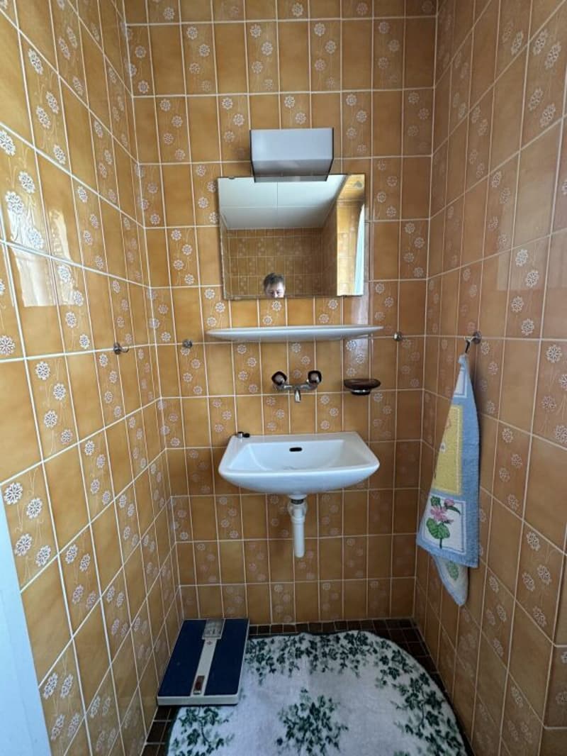 Maison à rénover/transformer - Renovationsbedürftiges Haus zu verkaufen (16)