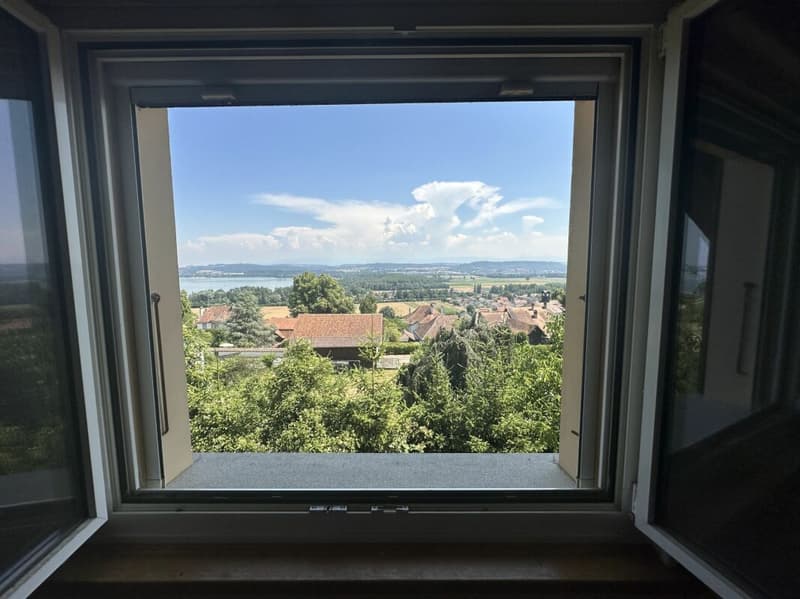 Einfamilienvilla - atemberaubender Blick (4)