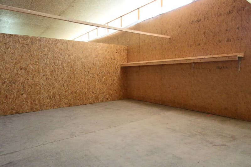 Magazzino - Locale commerciale (5)