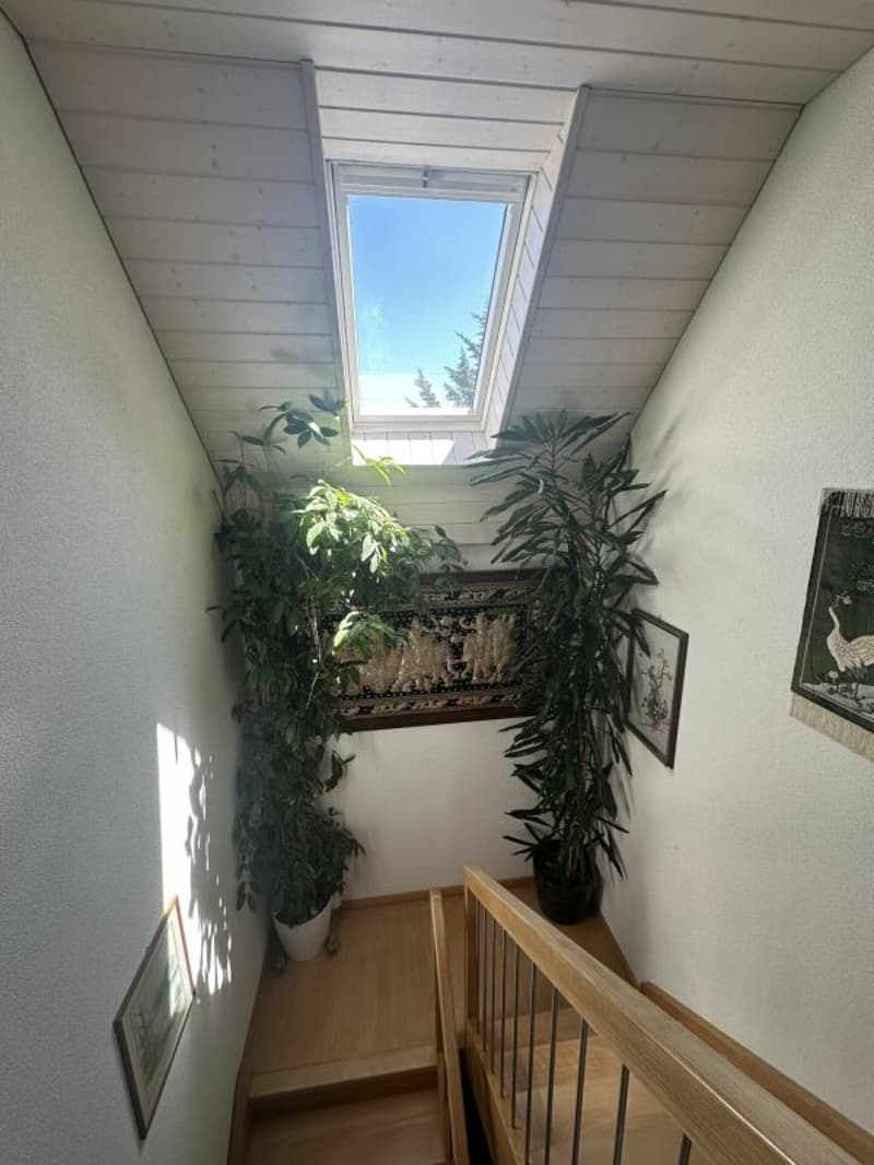Villa individuelle de 5.5 pièces avec garage - 5.5 ZI-Einfamilienhaus mit Garage (19)
