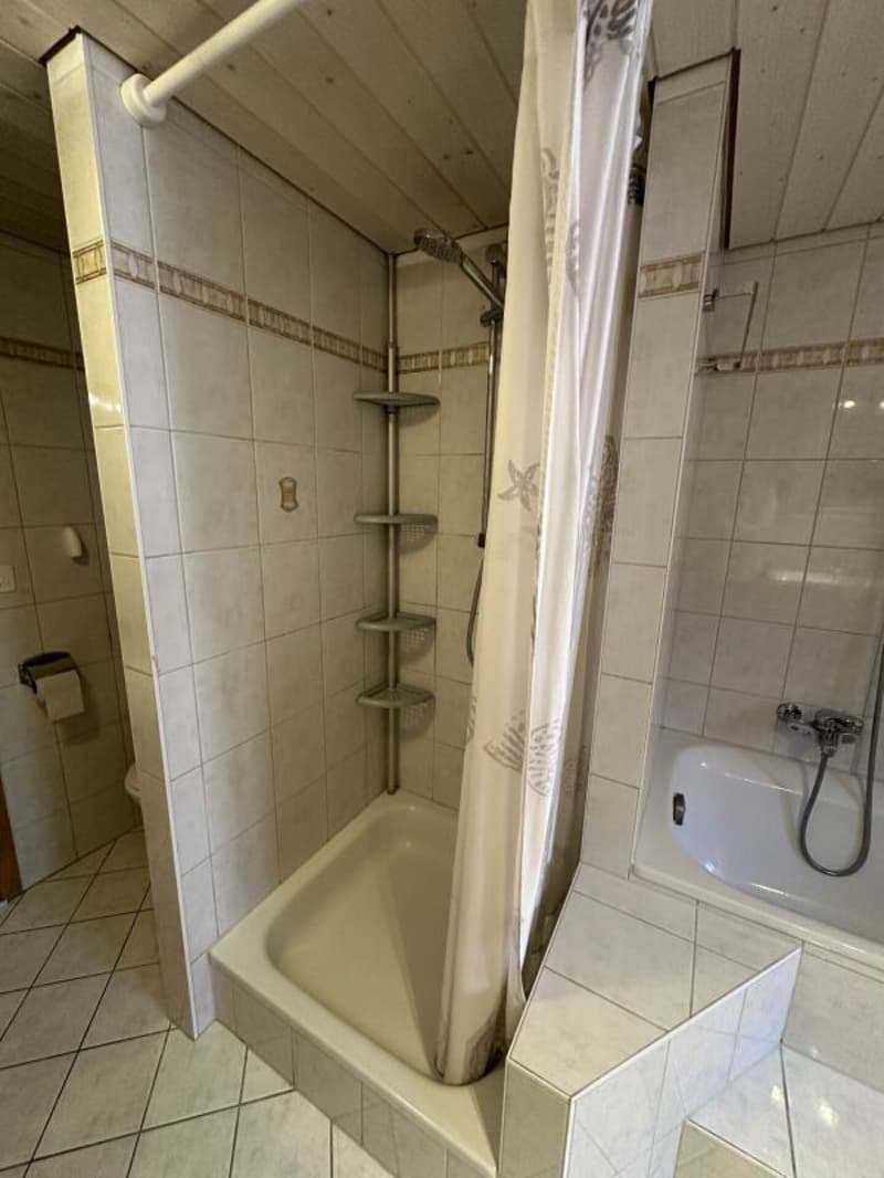 Salle d'eau appartement 5.5 pièces