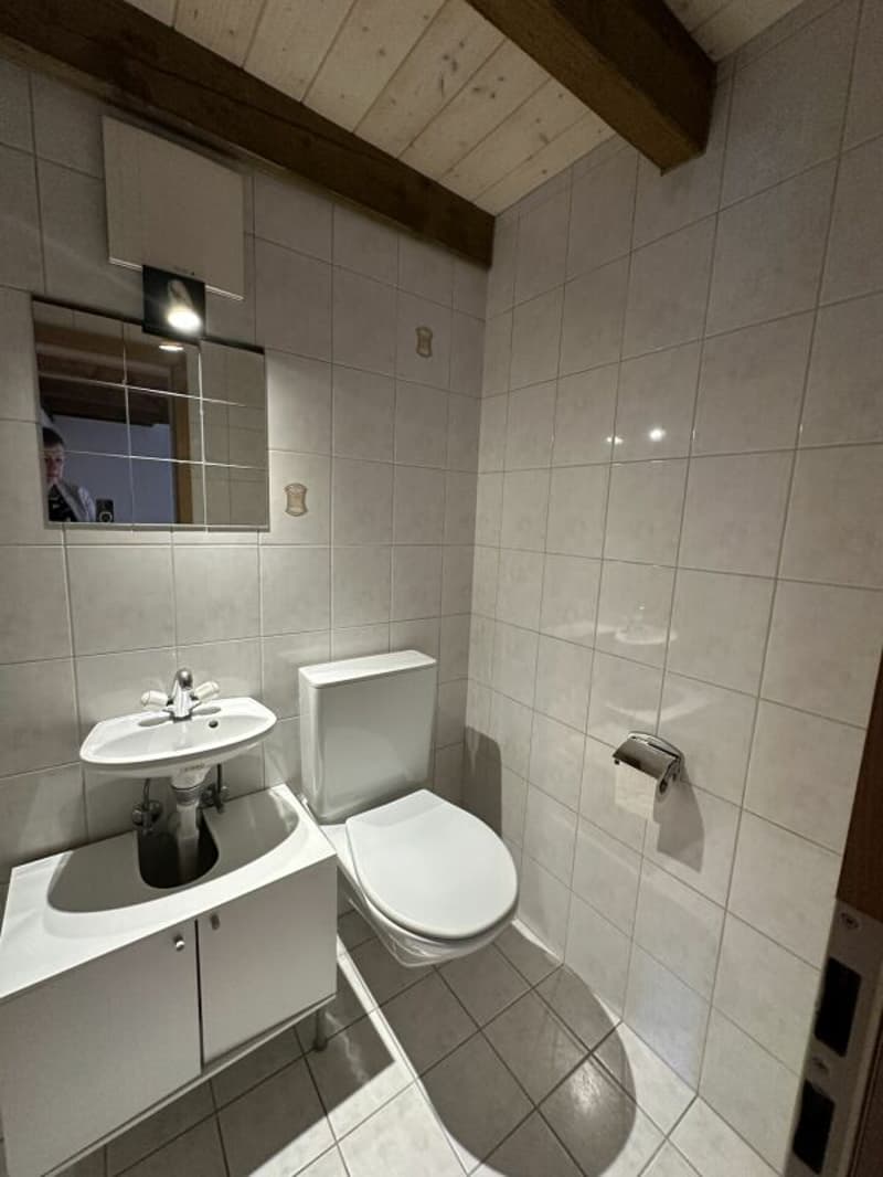 Lavabo-WC appartement 5.5 pièces