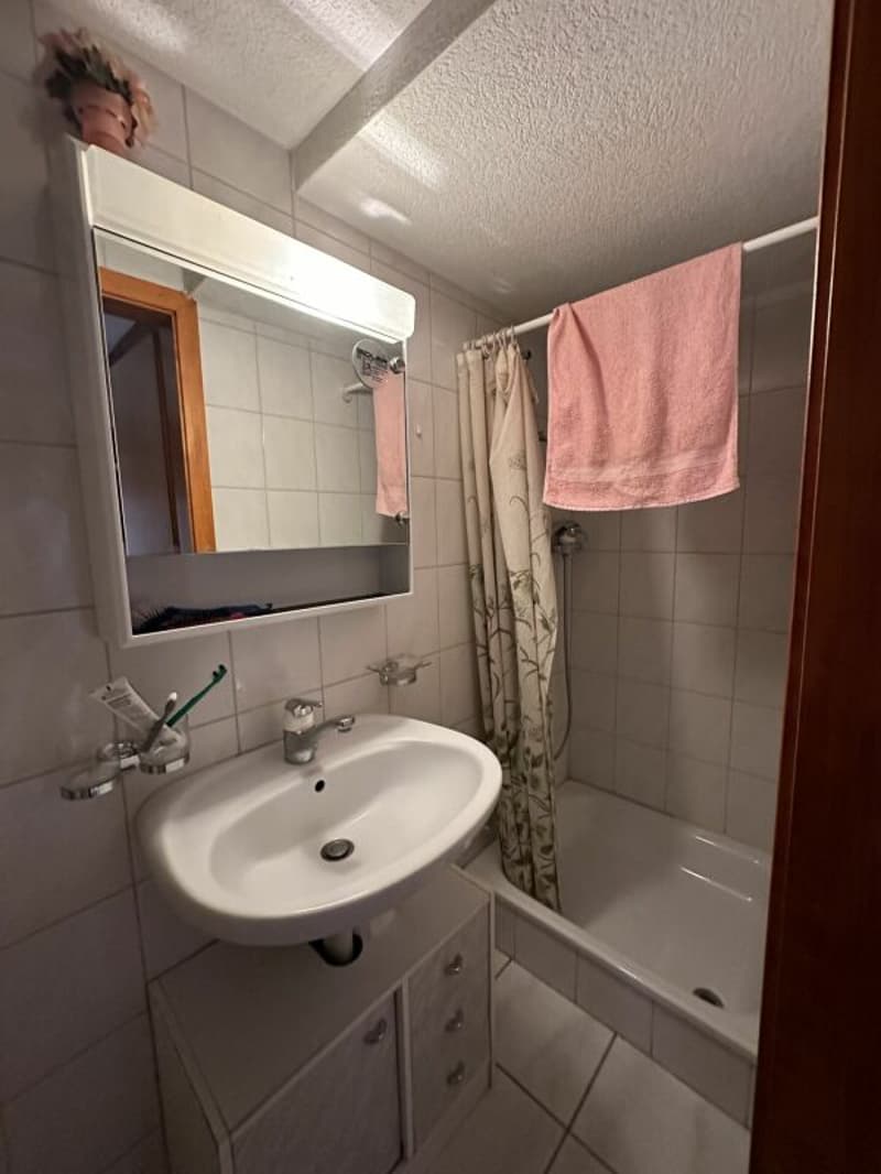 Douche-lavabo-WC - studio
