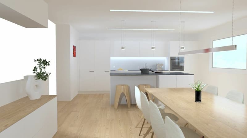 Nouvelle construction Hasenbühl Maison D (4)