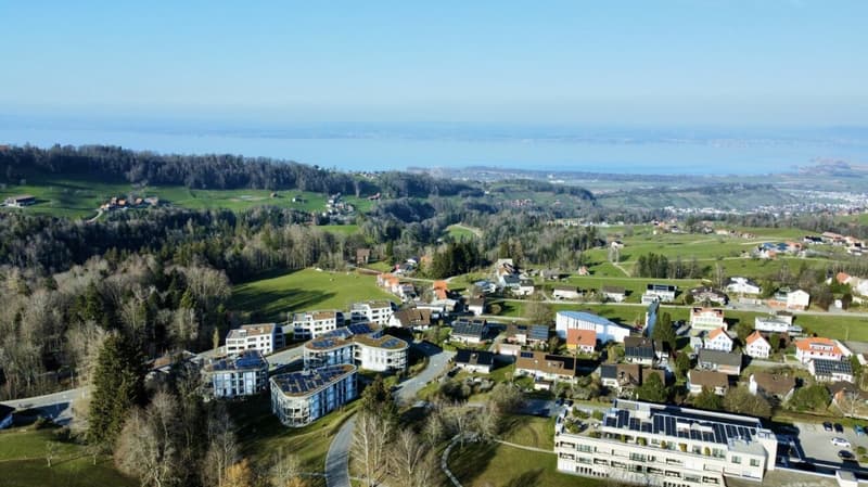 Nouvelle construction Hasenbühl Maison D (7)