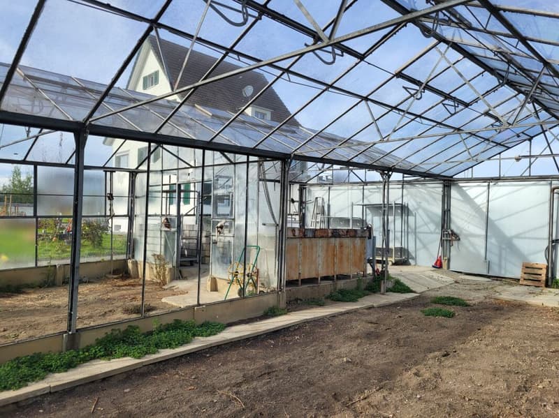 Large greenhouses near Arbon (6)