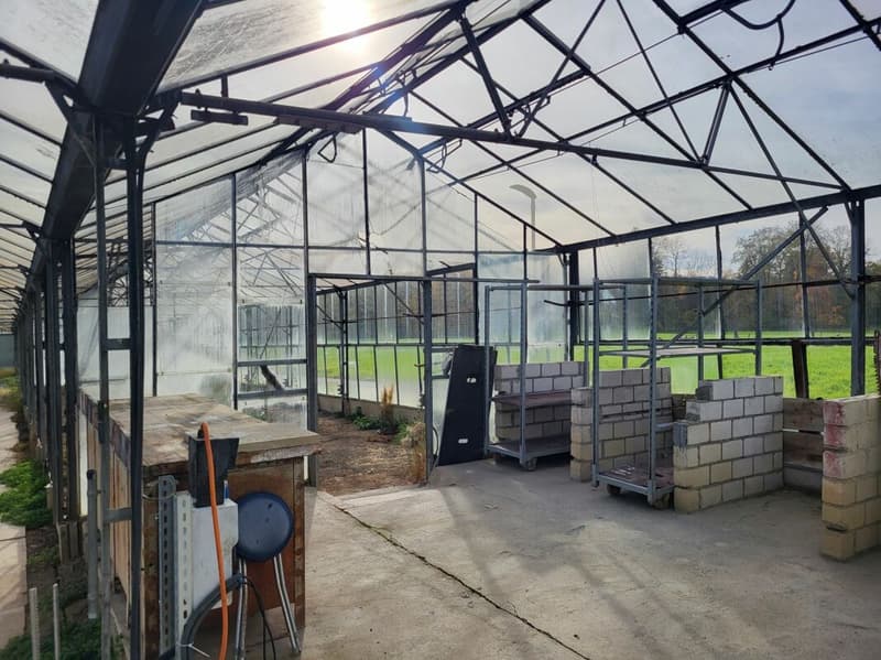 Large greenhouses near Arbon (5)