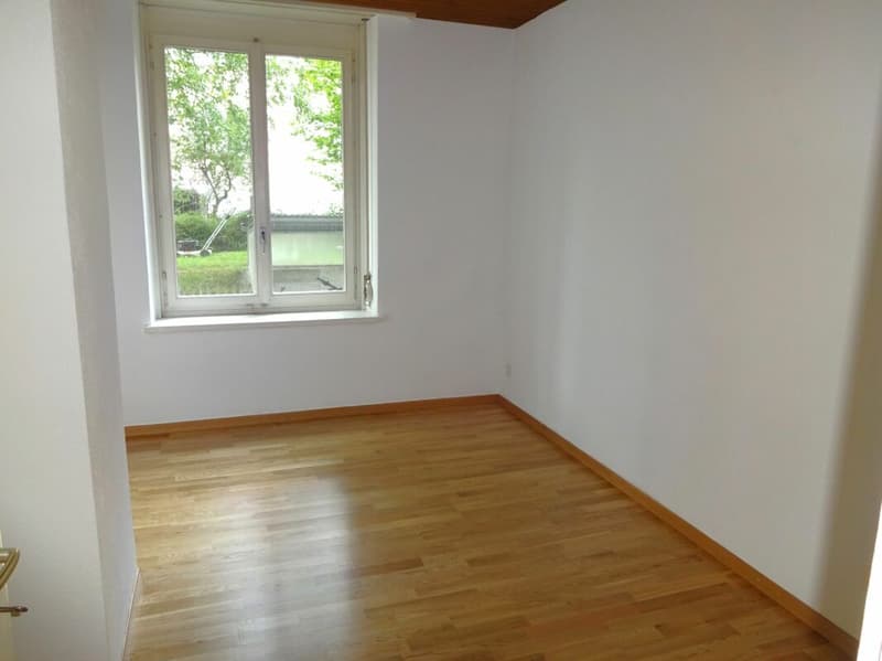 Zentrale Wohnung in Seenähe (4)