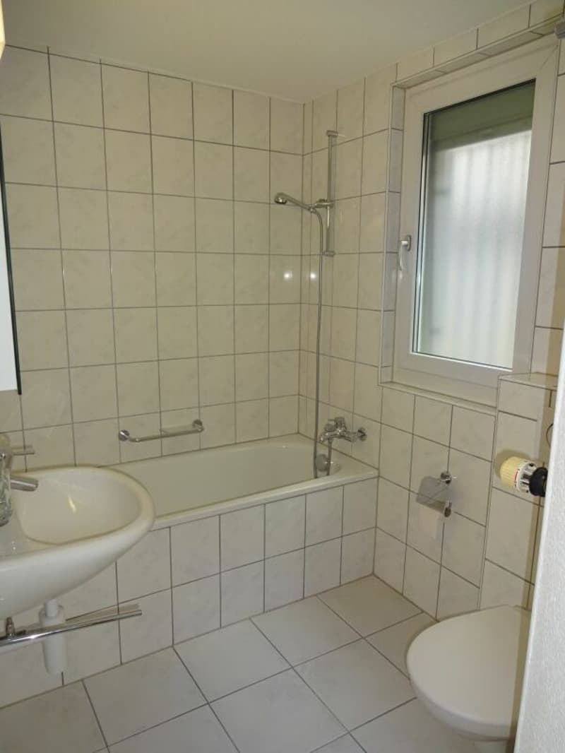 Zentrale Wohnung in Seenähe (7)