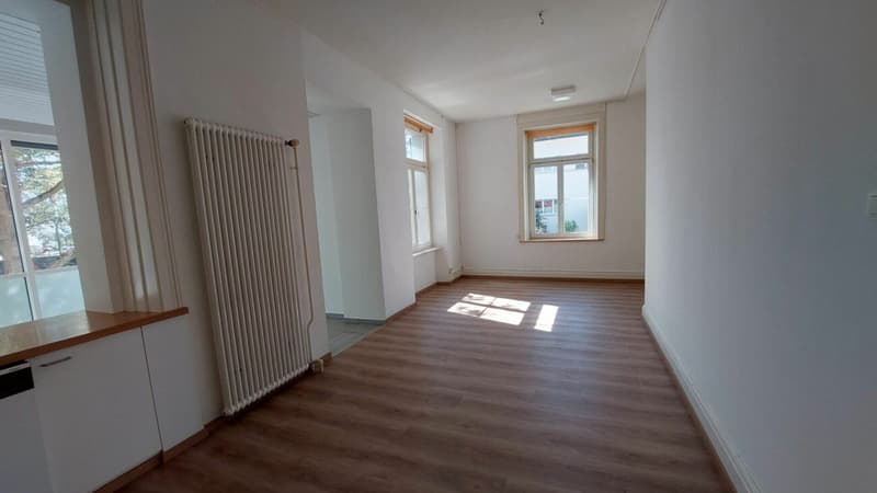 Charming old building apartment with winter garden in central location (7)